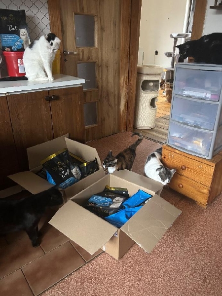 Navždy s láskou tlapičkám